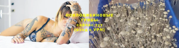 каннабис Абаза