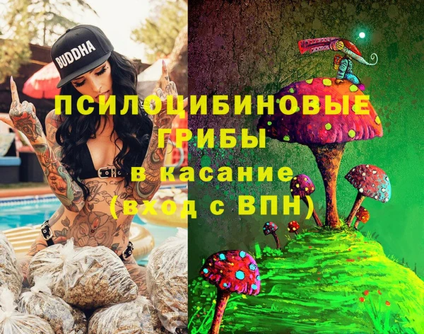 каннабис Абаза