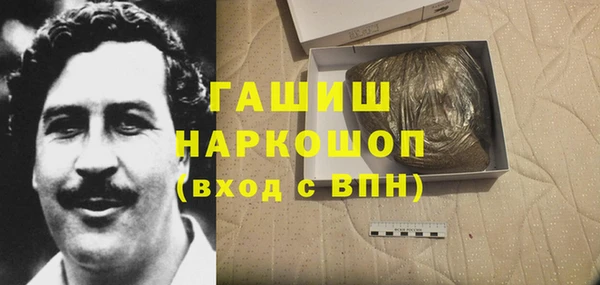 индика Ростов